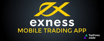 Understanding the Exness Server IP Address A Guide for Traders