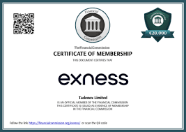 Understanding the Exness Server IP Address A Guide for Traders